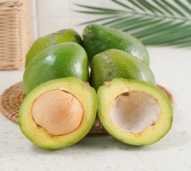 alpukat